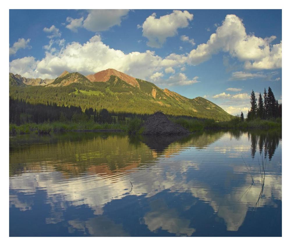 Avery Peak Reflected In Beaver Pond, San Juan Mountains, Colorado-Paper Art-32X26.9