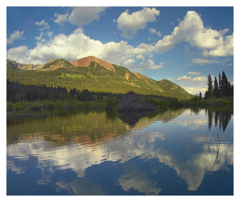 Avery Peak Reflected In Beaver Pond, San Juan Mountains, Colorado-Paper Art-38X31.88
