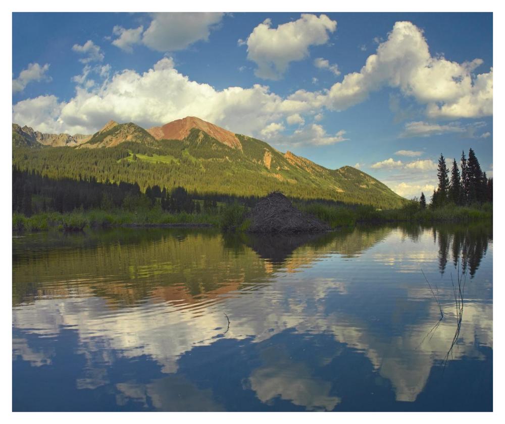 Avery Peak Reflected In Beaver Pond, San Juan Mountains, Colorado-Paper Art-42X35.2