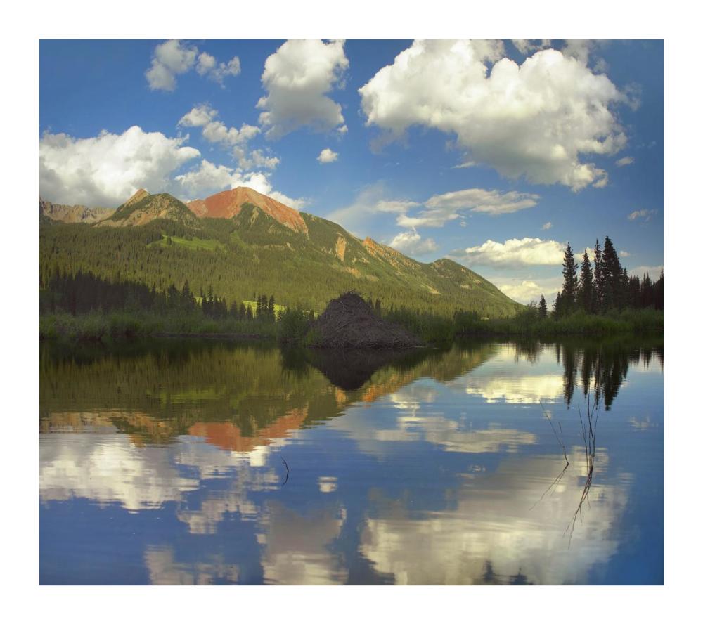 Avery Peak Reflected In Beaver Pond, San Juan Mountains, Colorado-Paper Art-18X16.08
