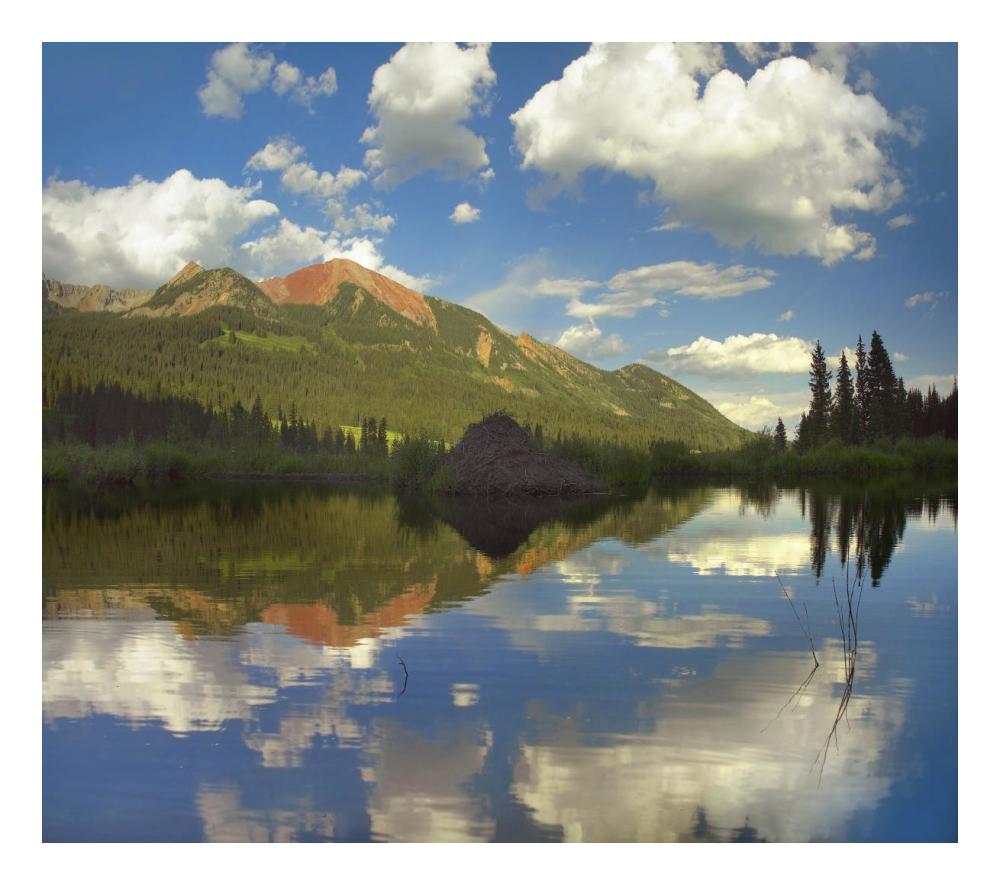 Avery Peak Reflected In Beaver Pond, San Juan Mountains, Colorado-Paper Art-24X21.36