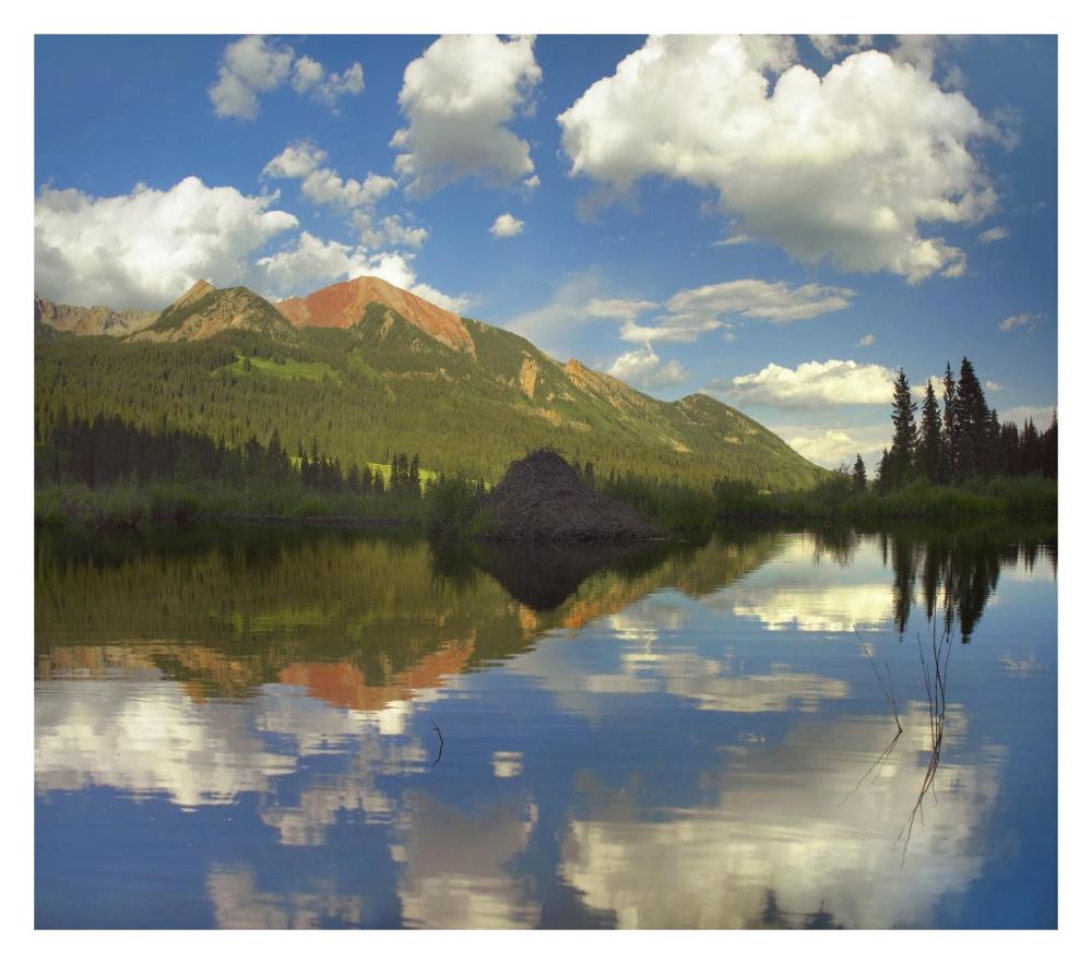 Avery Peak Reflected In Beaver Pond, San Juan Mountains, Colorado-Paper Art-32X28.4