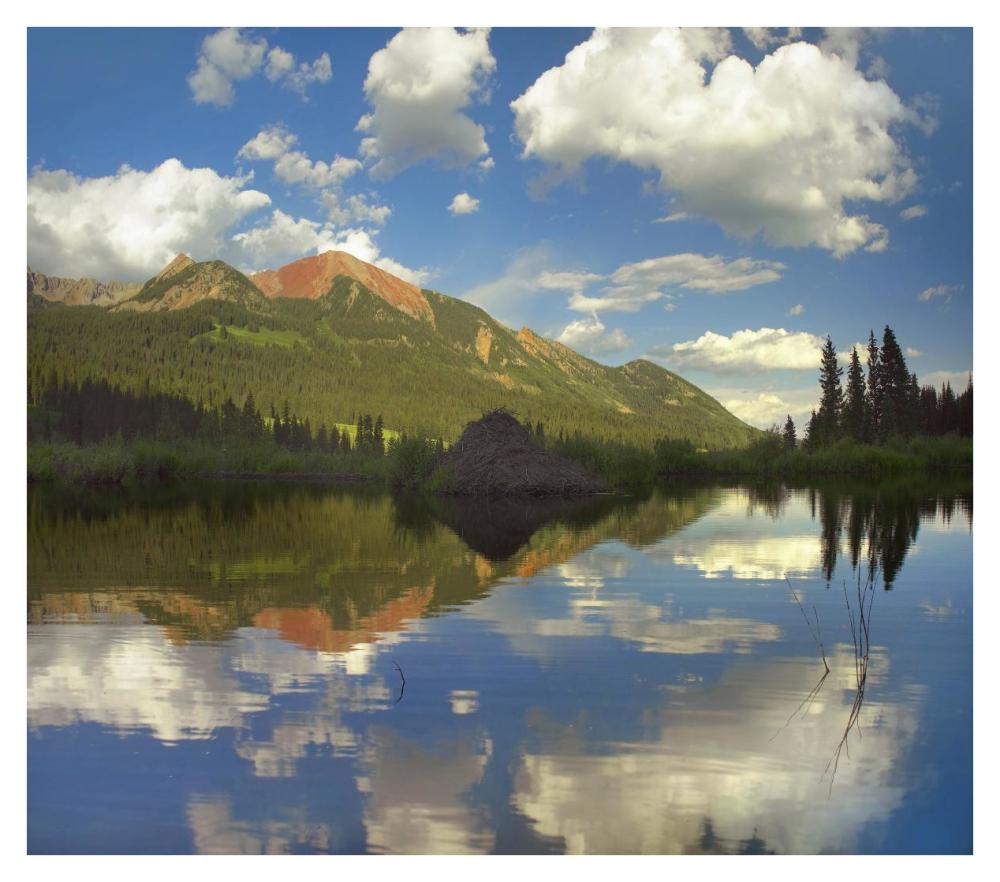 Avery Peak Reflected In Beaver Pond, San Juan Mountains, Colorado-Paper Art-38X33.68