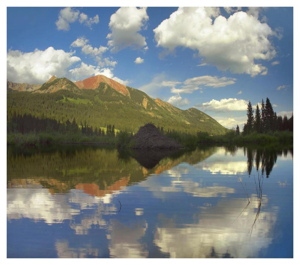 Avery Peak Reflected In Beaver Pond, San Juan Mountains, Colorado-Paper Art-46X40.72