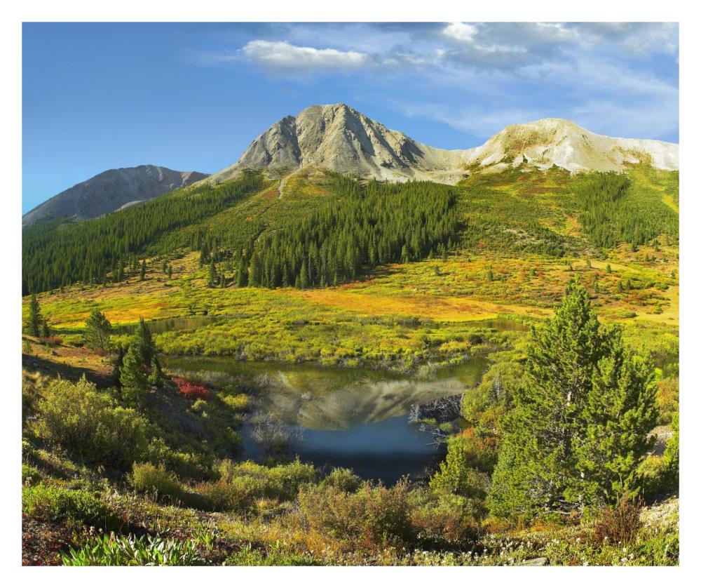 Pond And Green Mountain, Green Mountain National Forest, Colorado-Paper Art-32X26.9