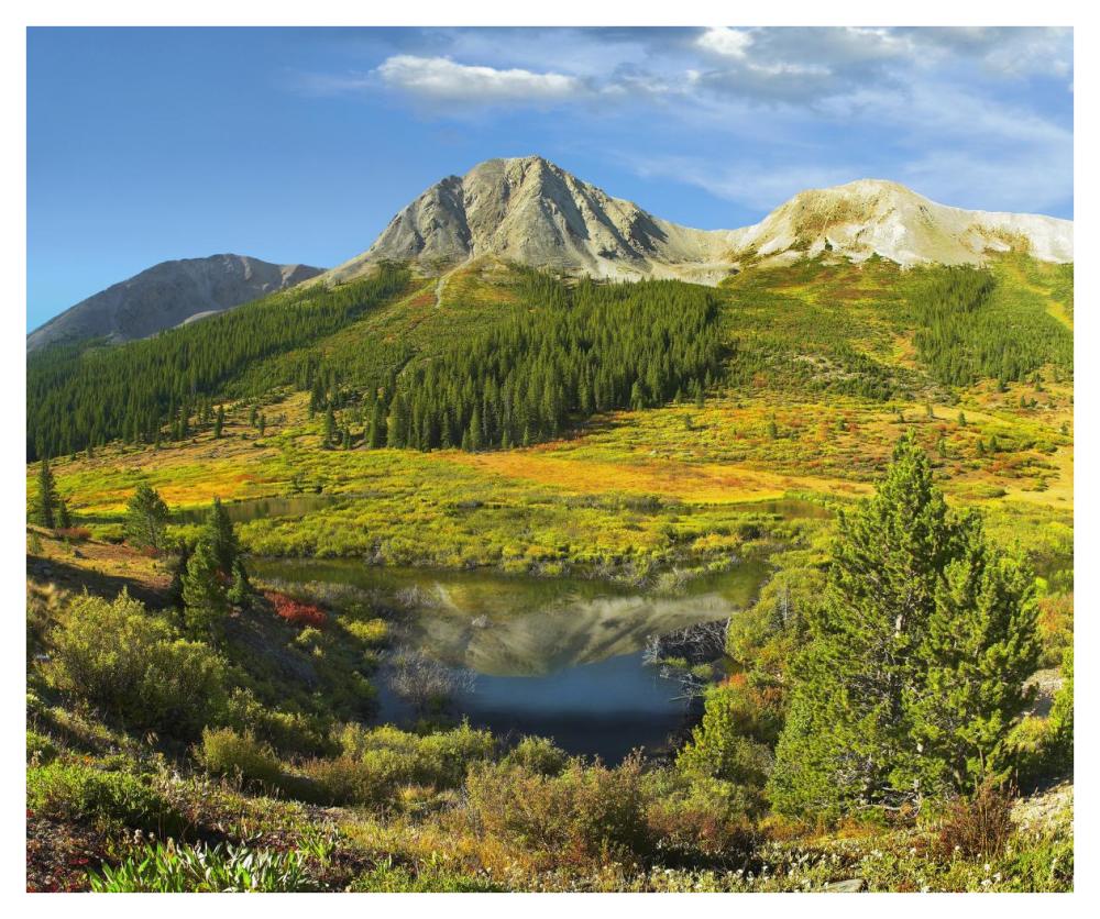 Pond And Green Mountain, Green Mountain National Forest, Colorado-Paper Art-42X35.2