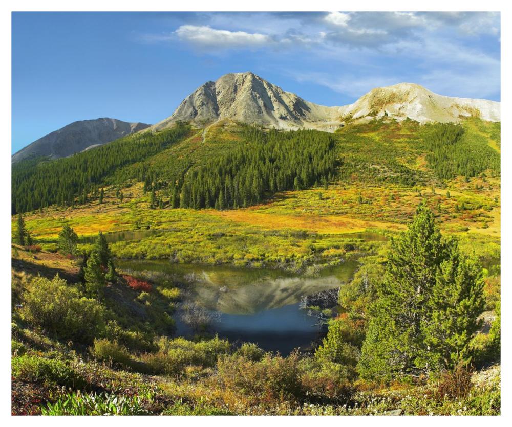 Pond And Green Mountain, Green Mountain National Forest, Colorado-Paper Art-46X38.52