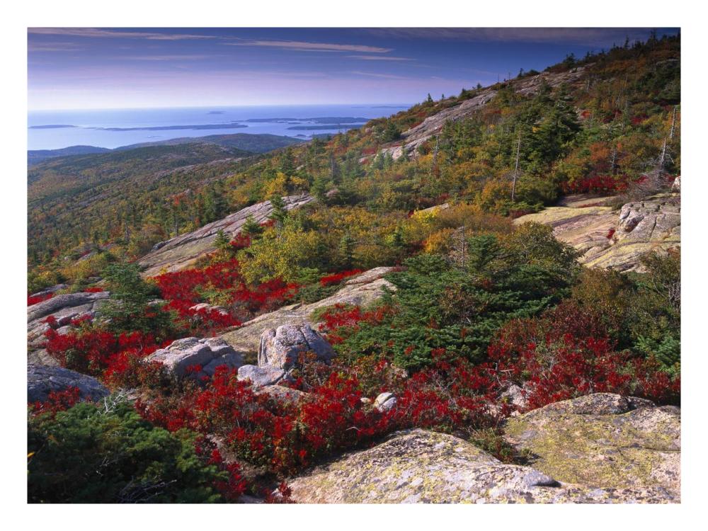Atlantic Coast From Cadillac Mountain, Acadia National Park, Maine-Paper Art-26X20