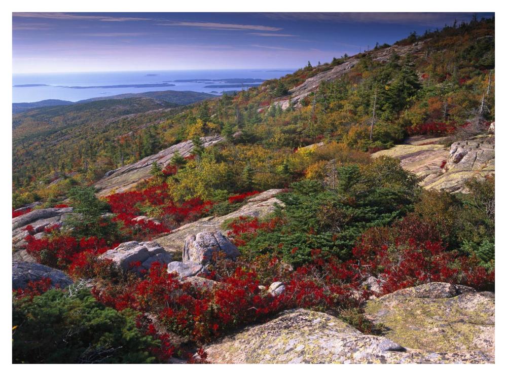 Atlantic Coast From Cadillac Mountain, Acadia National Park, Maine-Paper Art-42X32