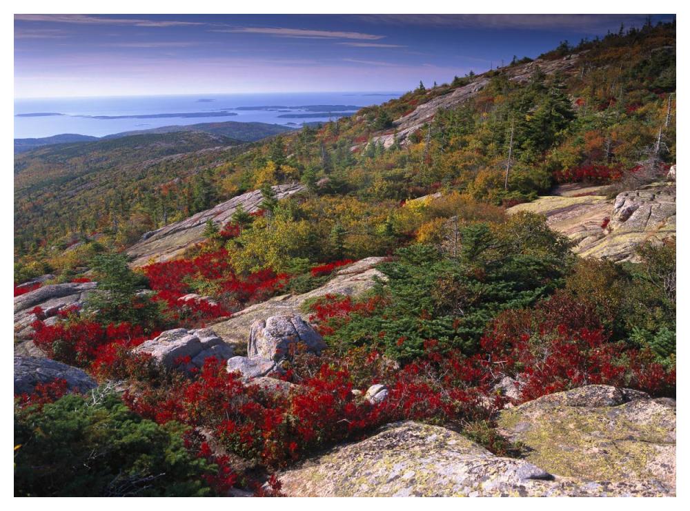 Atlantic Coast From Cadillac Mountain, Acadia National Park, Maine-Paper Art-50X38