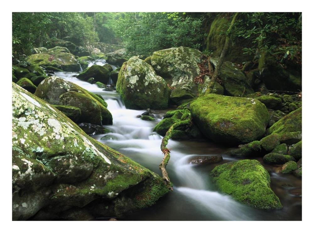Roaring Fork River, Great Smoky Mountains National Park, Tennessee-Paper Art-26X20