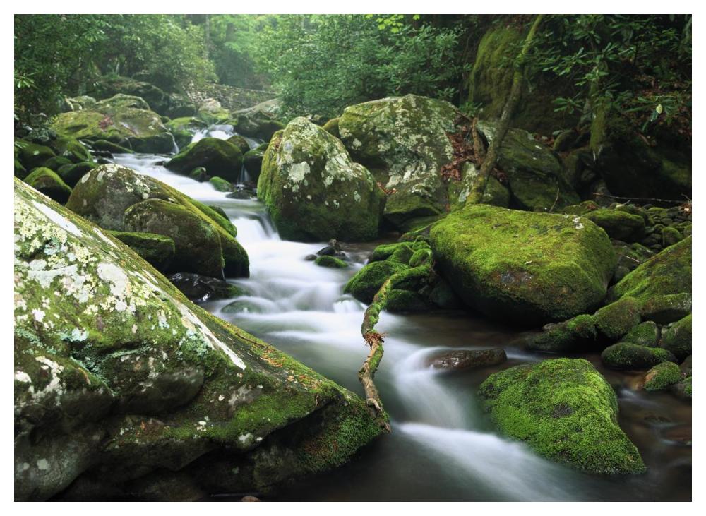 Roaring Fork River, Great Smoky Mountains National Park, Tennessee-Paper Art-50X38