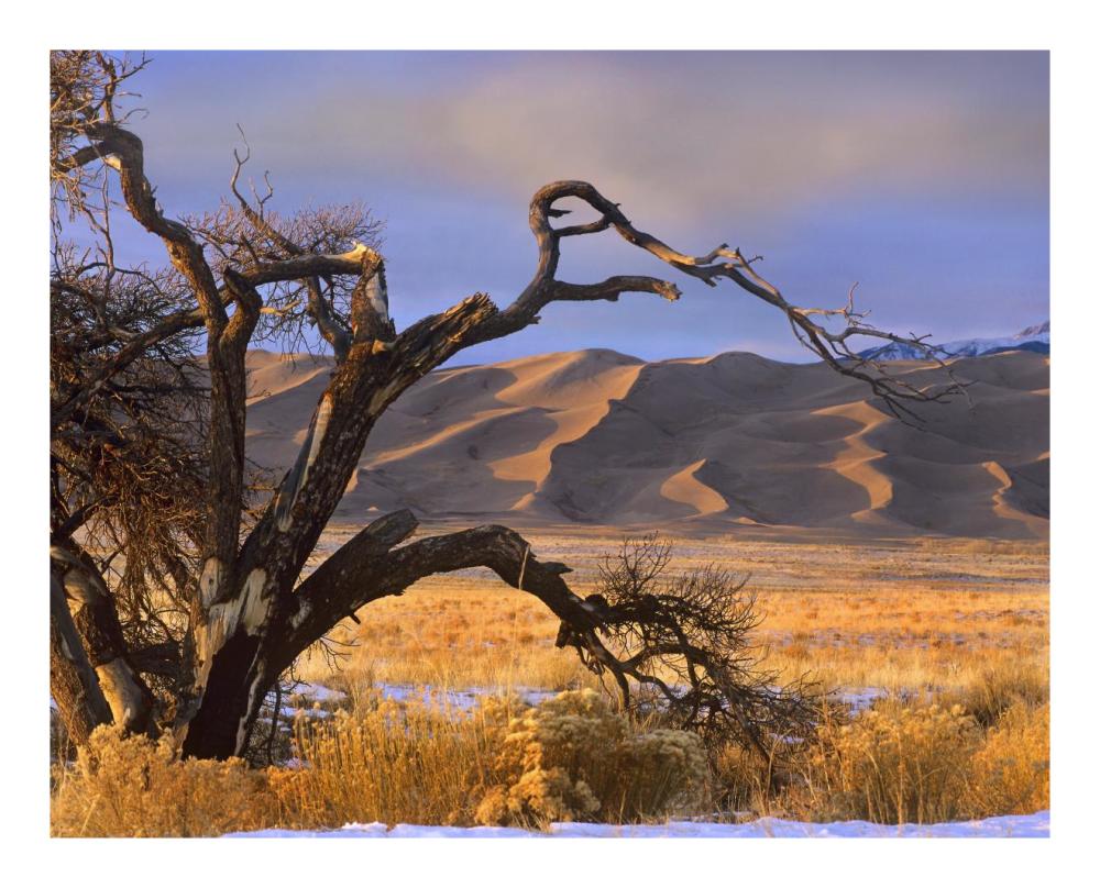 Grasslands And Dunes, Great Sand Dunes National Monument, Colorado-Paper Art-22X18