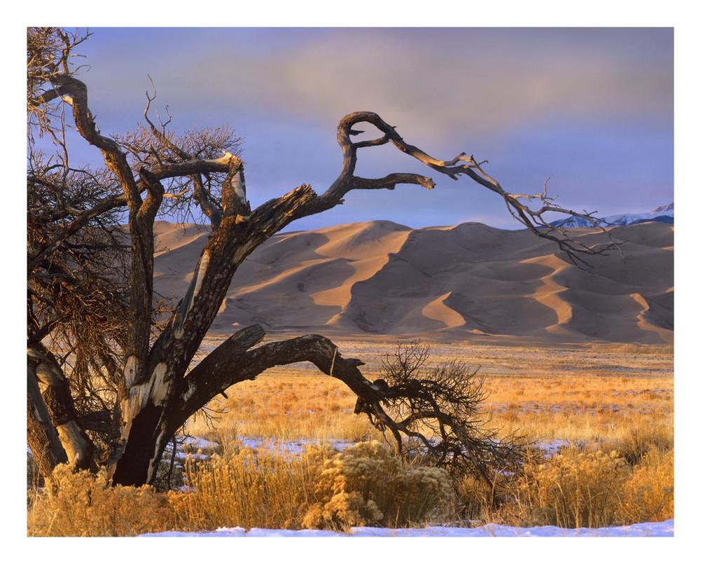 Grasslands And Dunes, Great Sand Dunes National Monument, Colorado-Paper Art-26X22