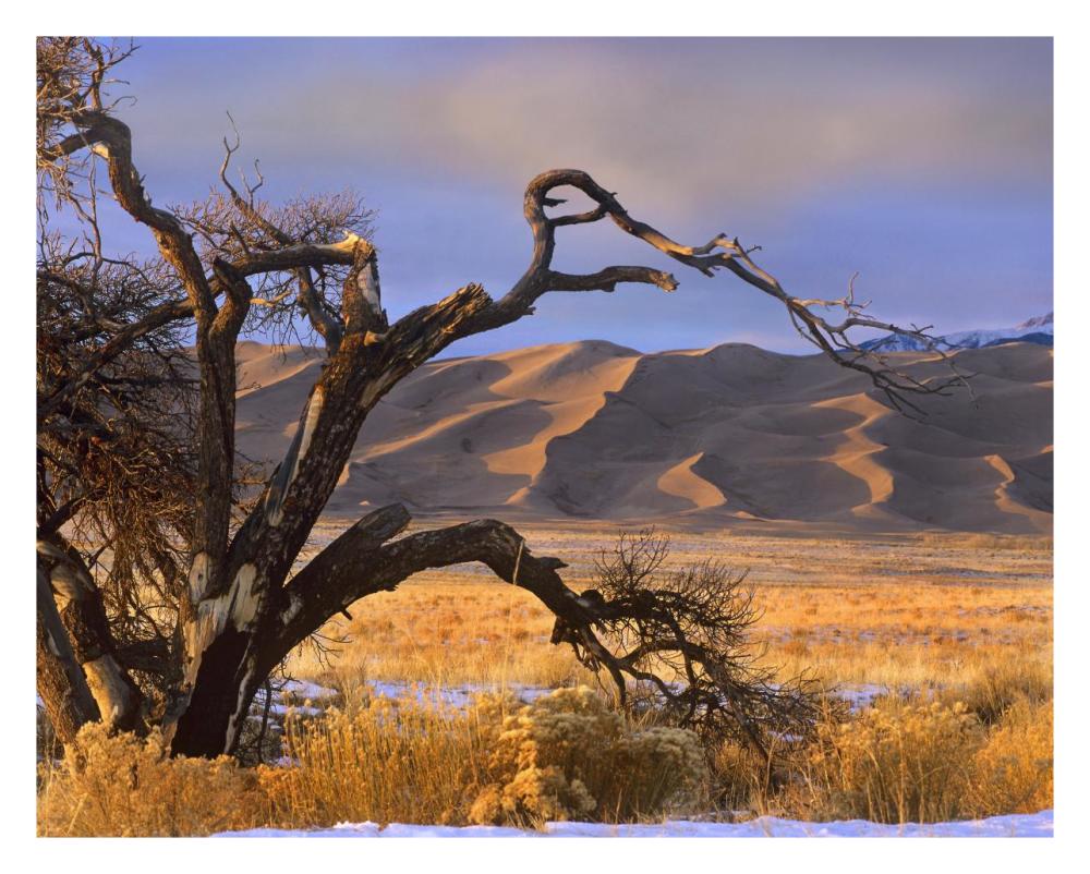 Grasslands And Dunes, Great Sand Dunes National Monument, Colorado-Paper Art-30X24