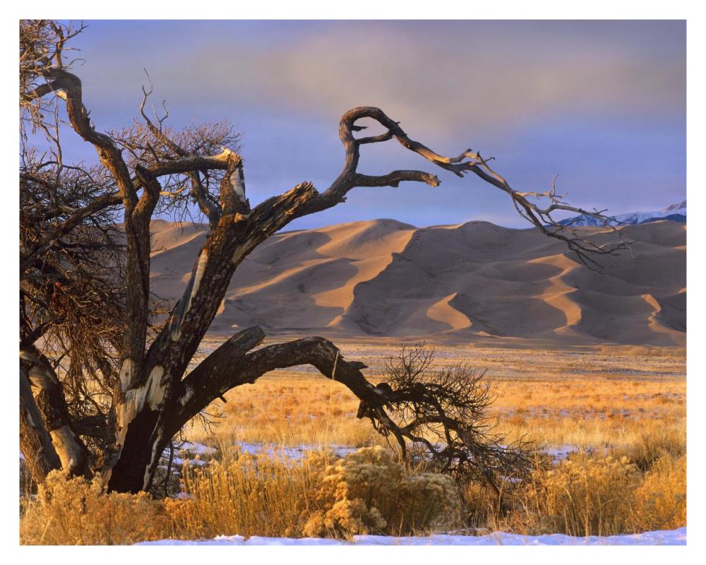Grasslands And Dunes, Great Sand Dunes National Monument, Colorado-Paper Art-37X30