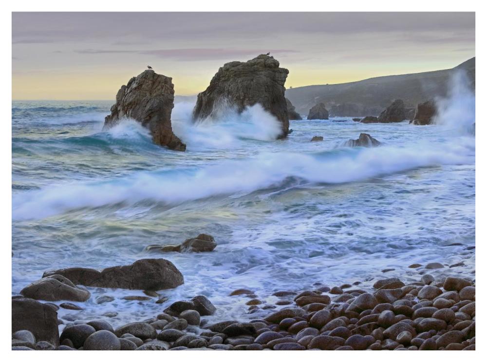 Cove And Seastacks Near Garrapata State, Beach Big Sur, California-Paper Art-42X32