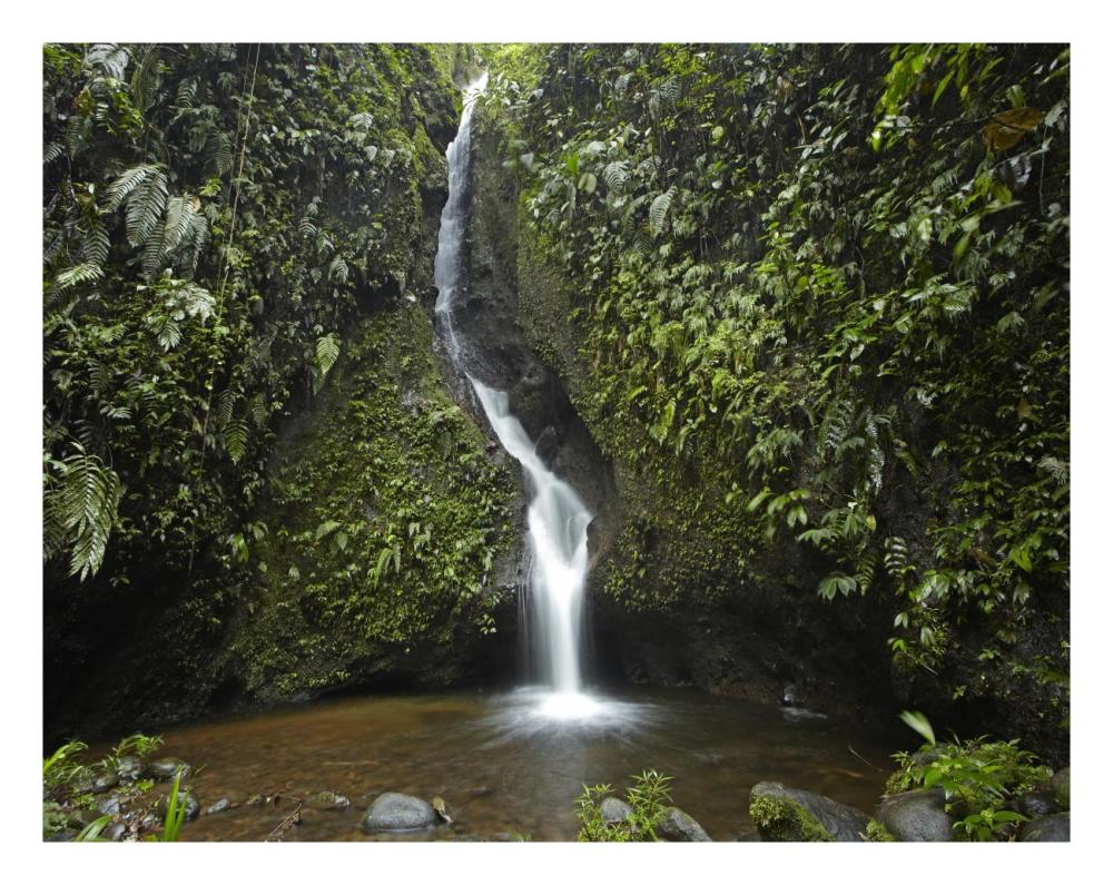Waterfall In The Milpe Bird Sanctuary, Mindo Cloud Forest, Ecuador-Paper Art-26X20