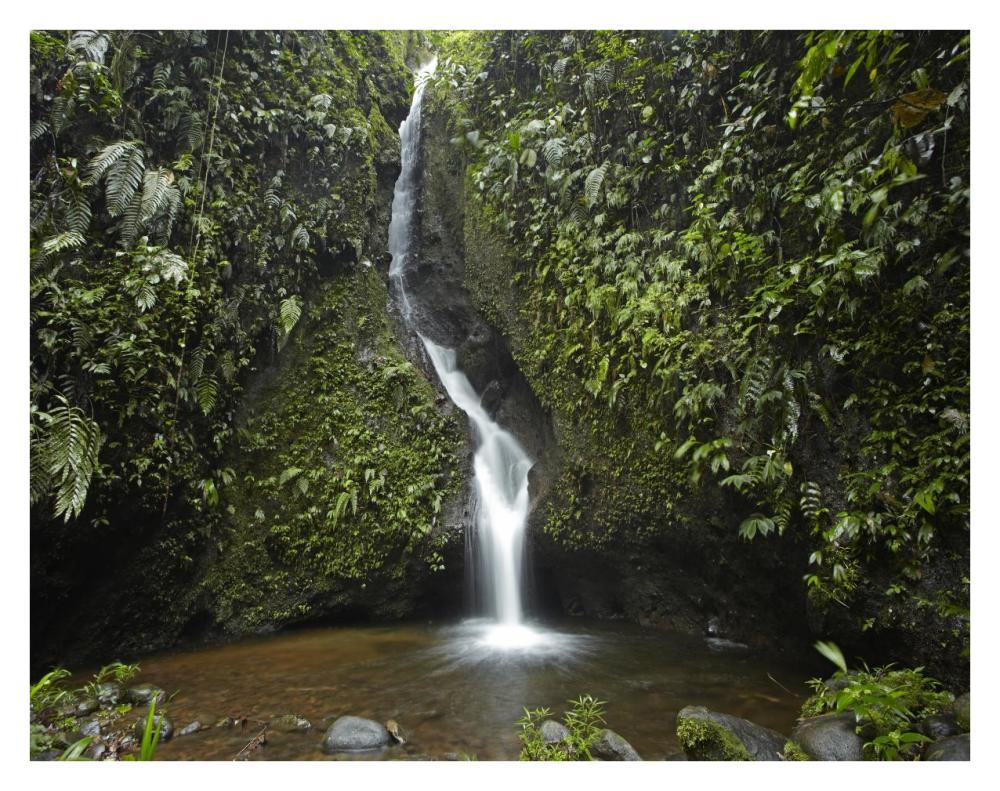 Waterfall In The Milpe Bird Sanctuary, Mindo Cloud Forest, Ecuador-Paper Art-34X26