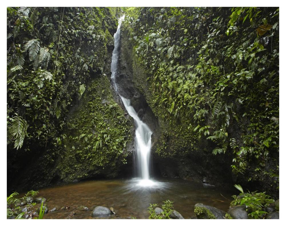Waterfall In The Milpe Bird Sanctuary, Mindo Cloud Forest, Ecuador-Paper Art-42X32