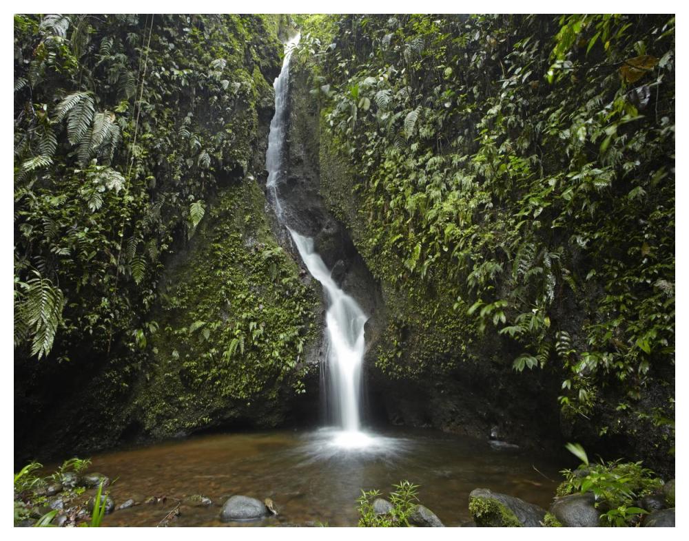 Waterfall In The Milpe Bird Sanctuary, Mindo Cloud Forest, Ecuador-Paper Art-50X38