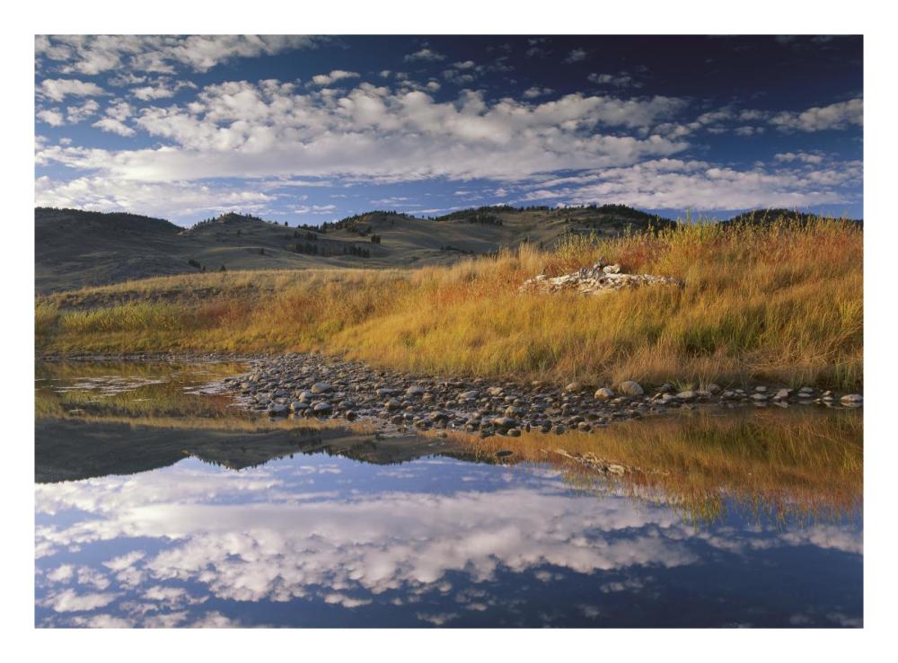 Absaroka Range And Slough Creek, Yellowstone National Park, Wyoming-Paper Art-26X20