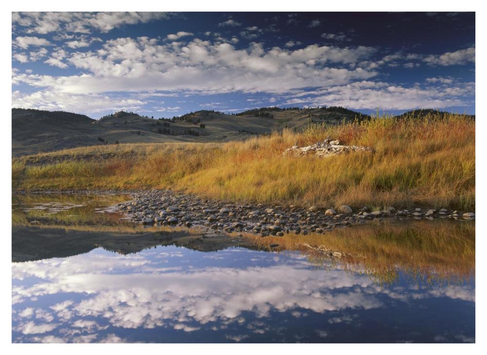 Absaroka Range And Slough Creek, Yellowstone National Park, Wyoming-Paper Art-42X32