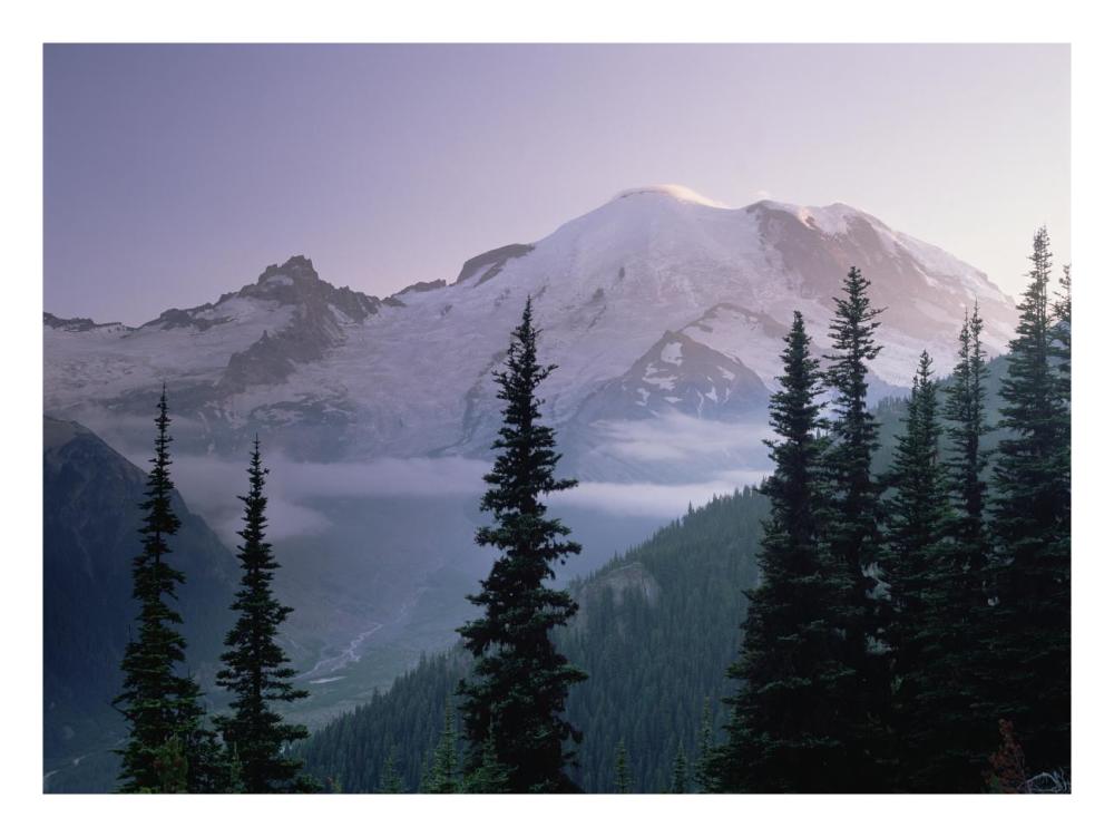 Mt Rainier As Seen At Sunrise, Mt Rainier National Park, Washington-Paper Art-26X20
