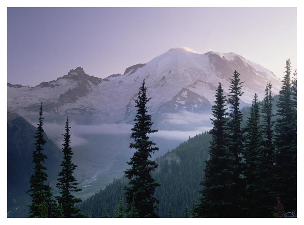Mt Rainier As Seen At Sunrise, Mt Rainier National Park, Washington-Paper Art-42X32