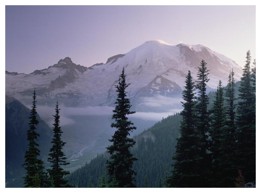 Mt Rainier As Seen At Sunrise, Mt Rainier National Park, Washington-Paper Art-50X38