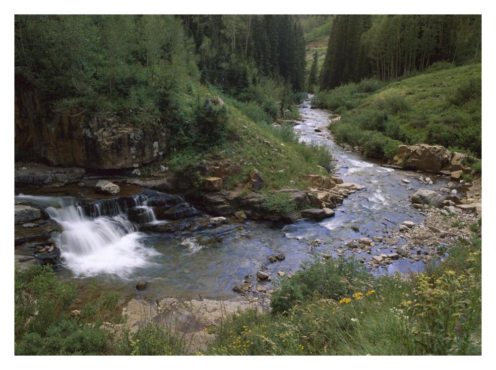 La Plata River, La Plata Canyon, San Juan National Forest, Colorado-Paper Art-18X14