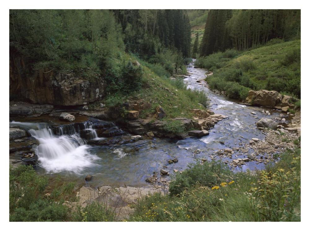 La Plata River, La Plata Canyon, San Juan National Forest, Colorado-Paper Art-34X26