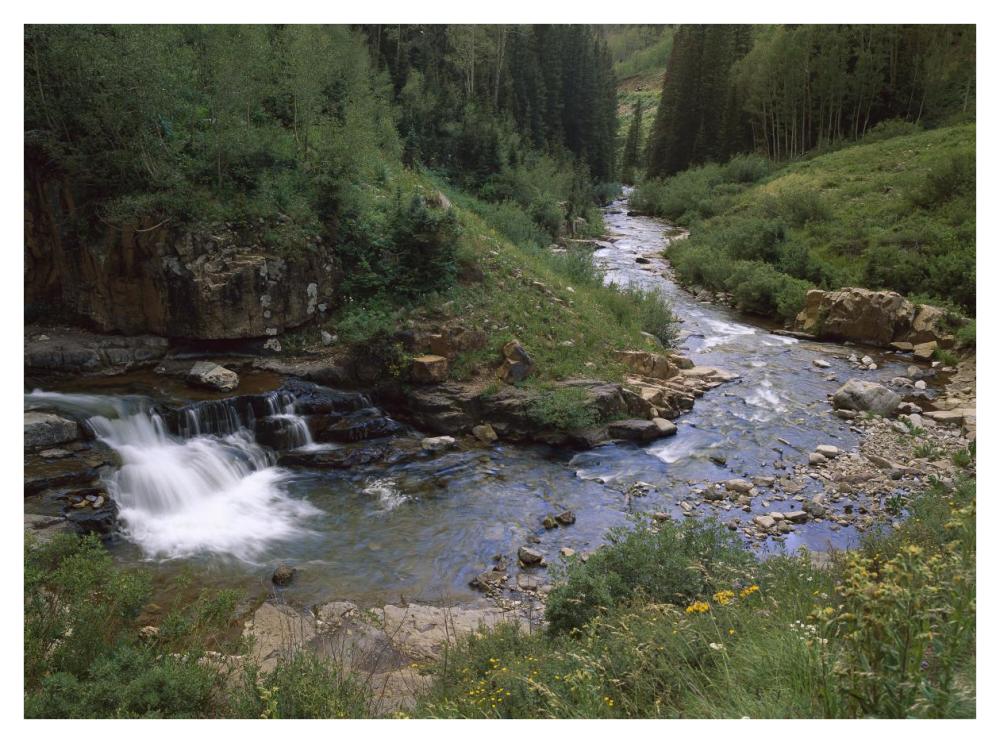 La Plata River, La Plata Canyon, San Juan National Forest, Colorado-Paper Art-42X32