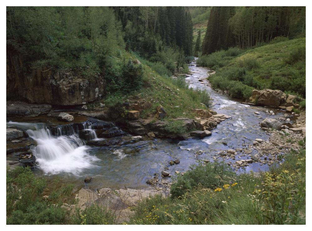 La Plata River, La Plata Canyon, San Juan National Forest, Colorado-Paper Art-50X38