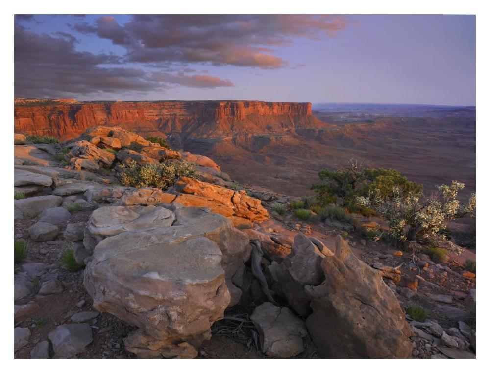 View From The Green River Overlook, Canyonlands National Park, Utah-Paper Art-18X14