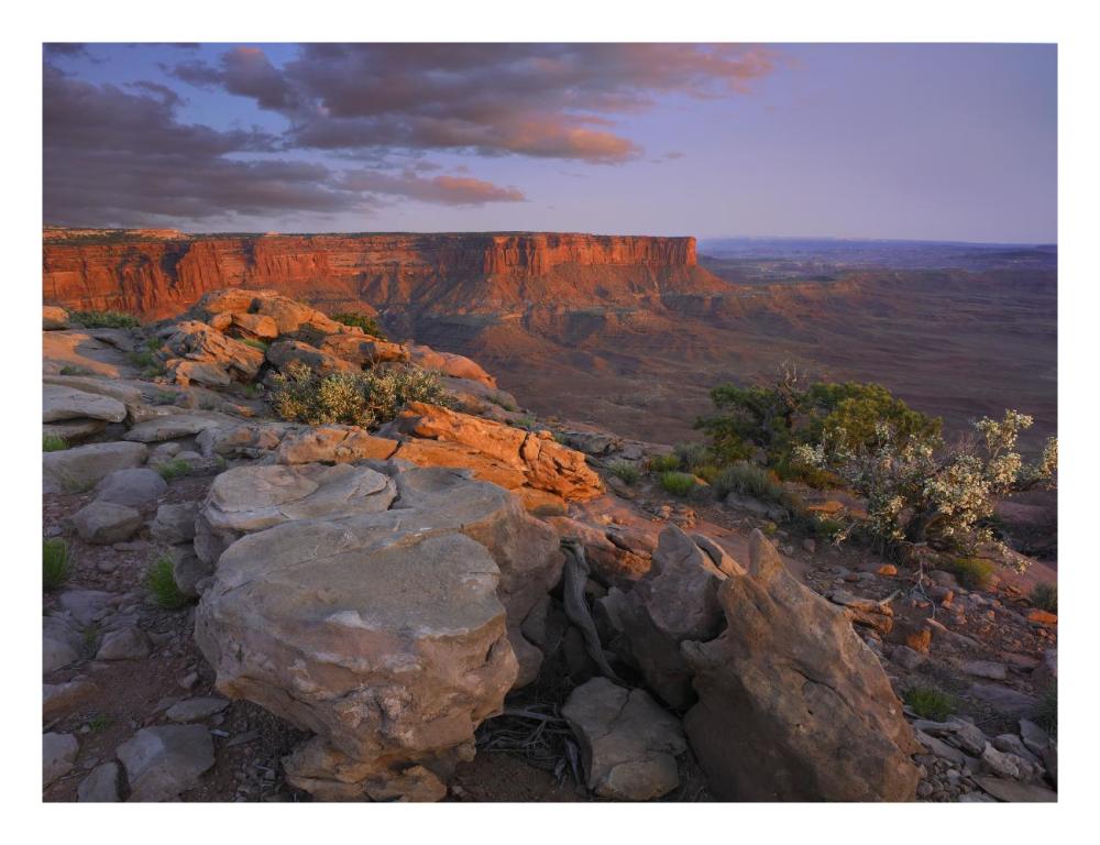 View From The Green River Overlook, Canyonlands National Park, Utah-Paper Art-26X20