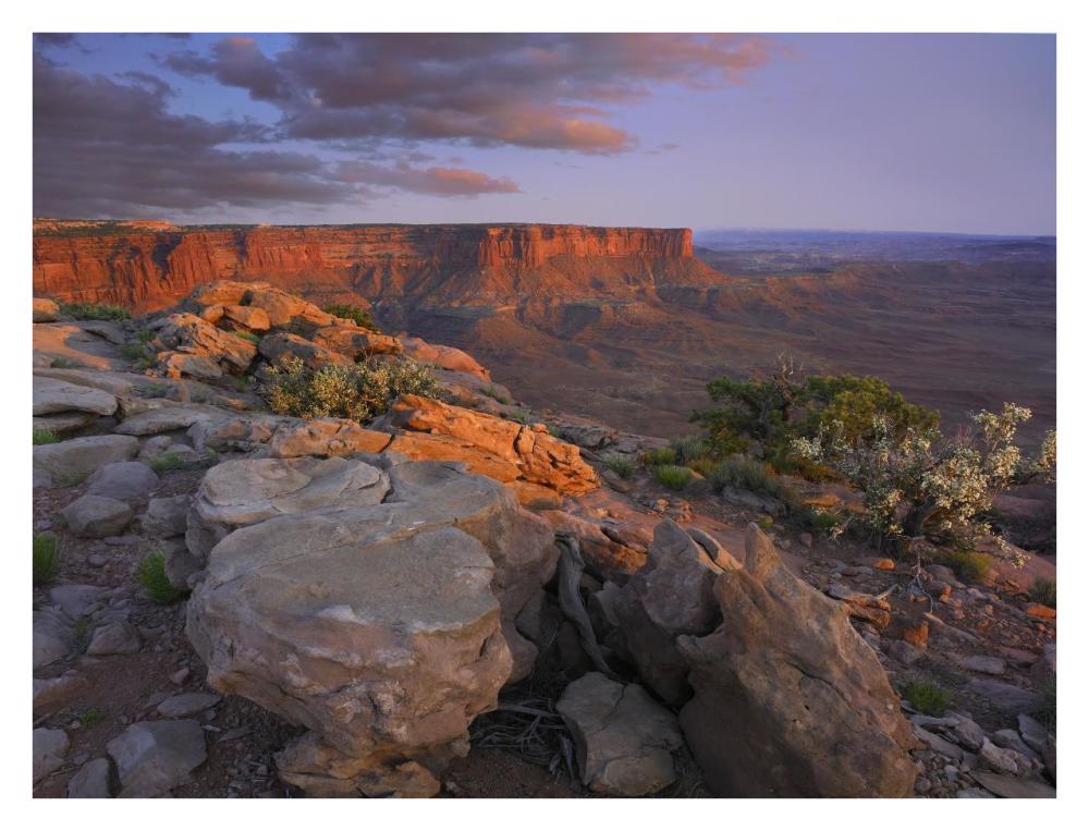 View From The Green River Overlook, Canyonlands National Park, Utah-Paper Art-34X26