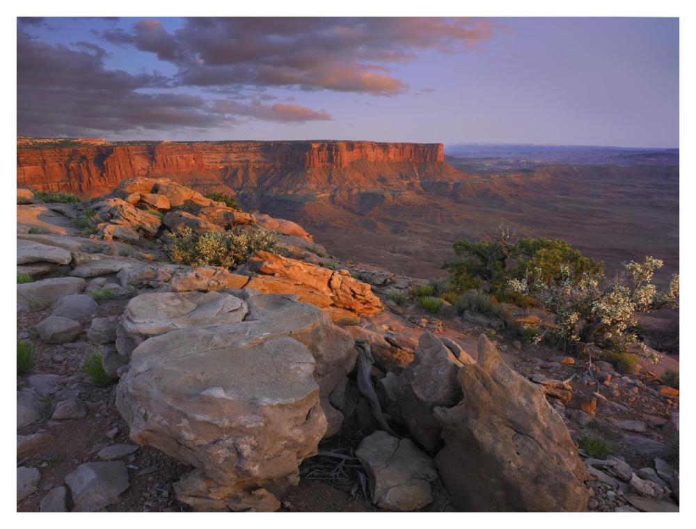 View From The Green River Overlook, Canyonlands National Park, Utah-Paper Art-42X32