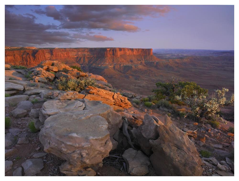 View From The Green River Overlook, Canyonlands National Park, Utah-Paper Art-50X38