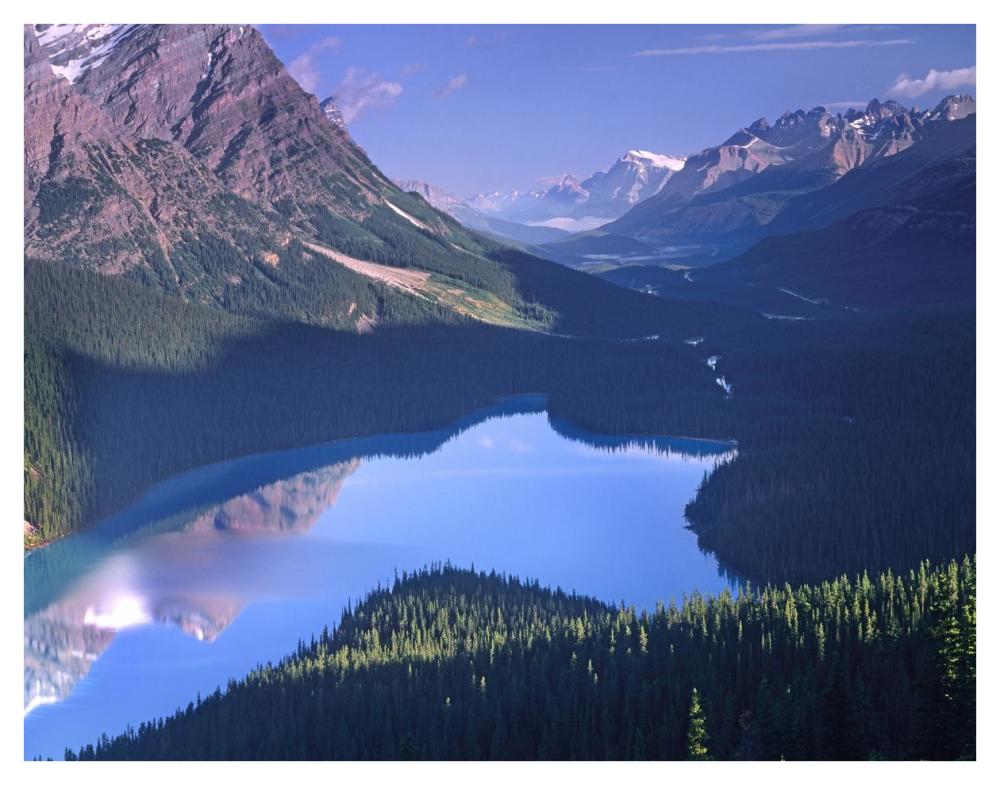 Mount Patterson At Peyto Lake, Banff National Park, Alberta, Canada-Paper Art-42X32