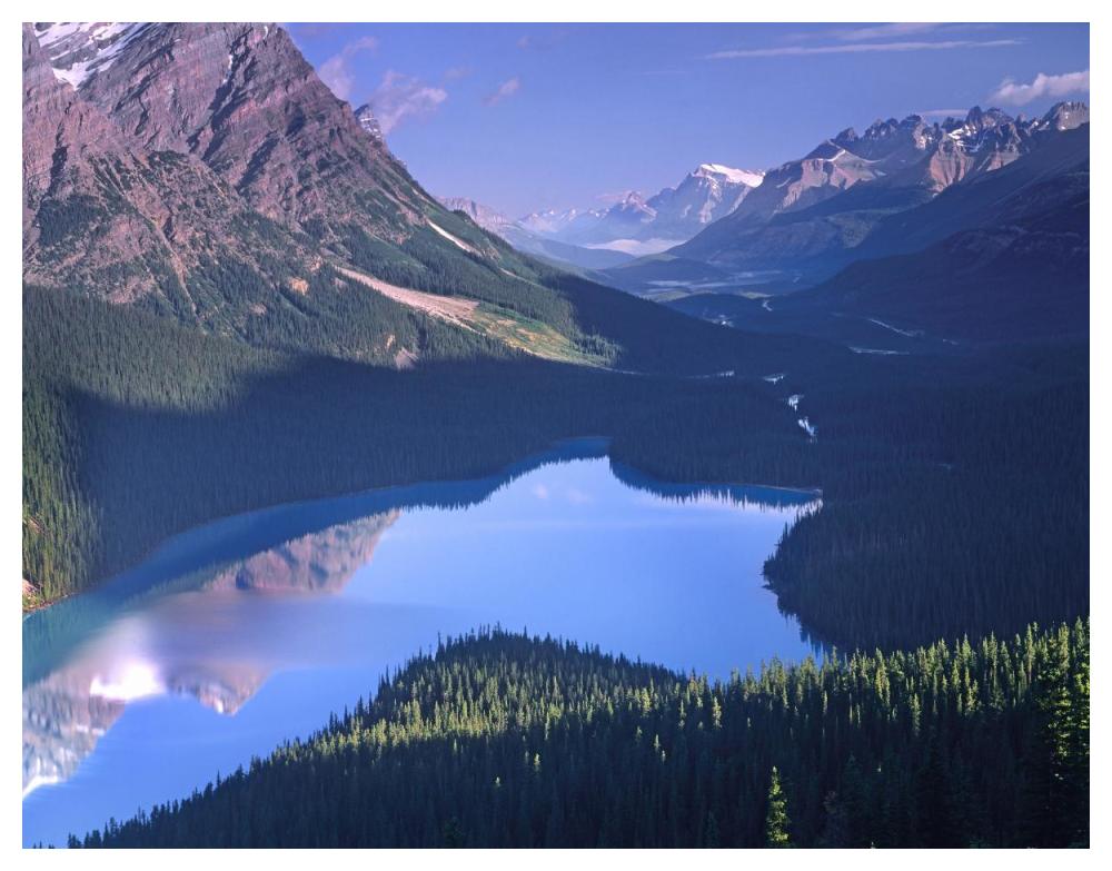 Mount Patterson At Peyto Lake, Banff National Park, Alberta, Canada-Paper Art-50X38