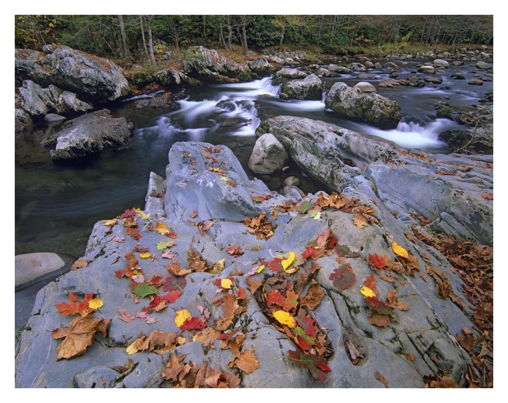 Little Pigeon River, Great Smoky Mountains National Park, Tennessee-Paper Art-18X14