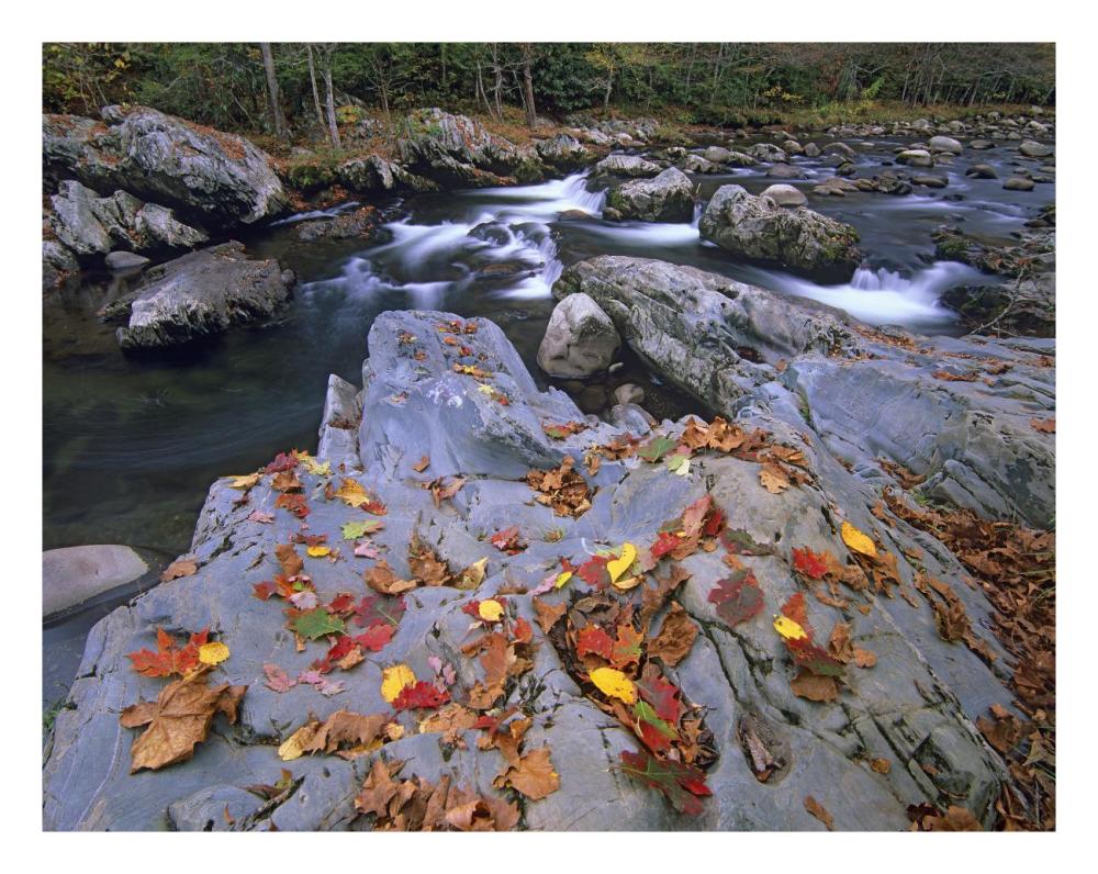 Little Pigeon River, Great Smoky Mountains National Park, Tennessee-Paper Art-26X20