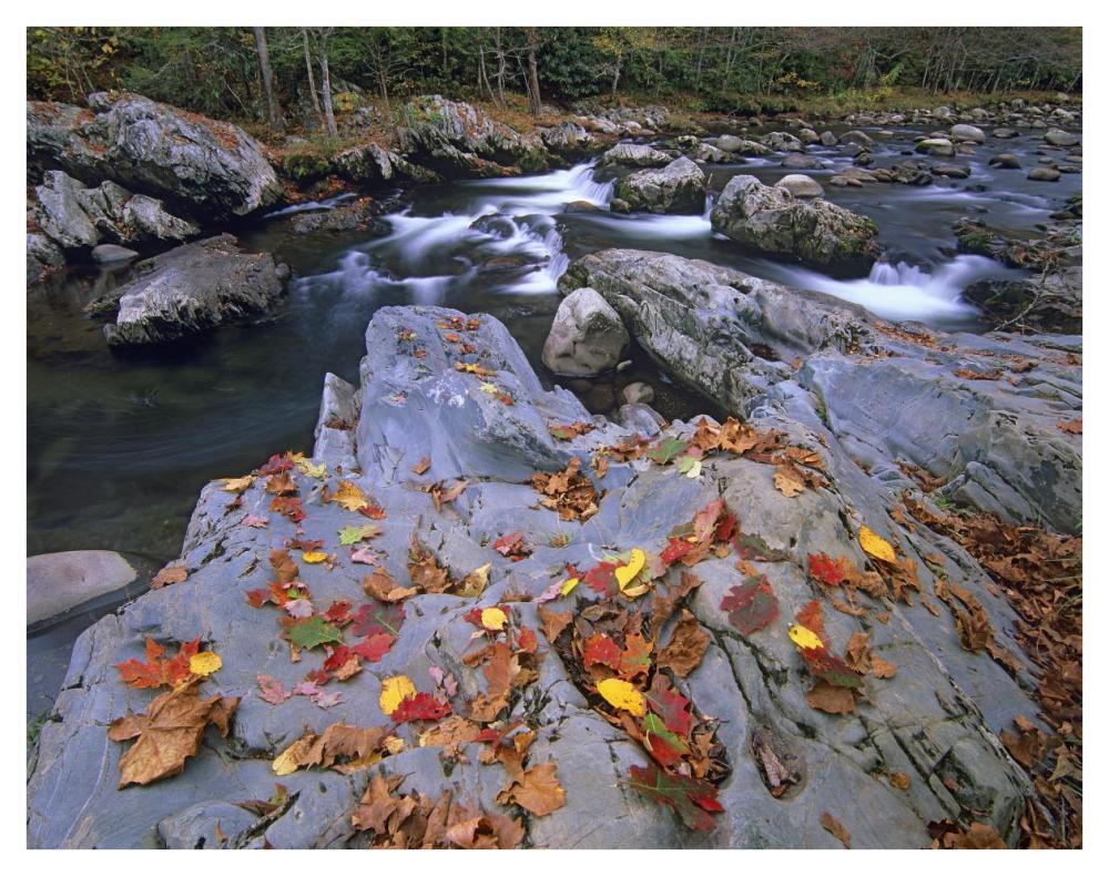 Little Pigeon River, Great Smoky Mountains National Park, Tennessee-Paper Art-42X32
