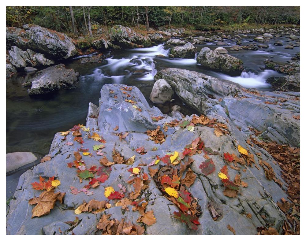 Little Pigeon River, Great Smoky Mountains National Park, Tennessee-Paper Art-50X38