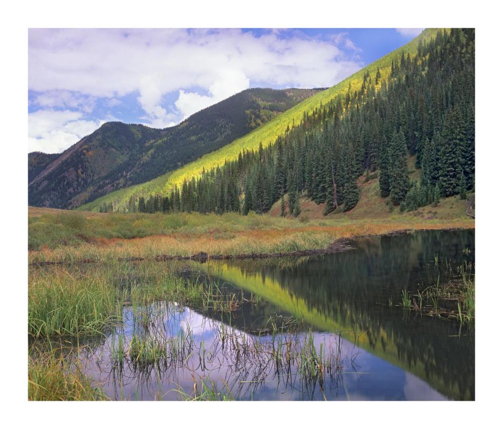 Pond And Mountains, Maroon Bells-Snowmass Wilderness Area, Colorado-Paper Art-18X15.28