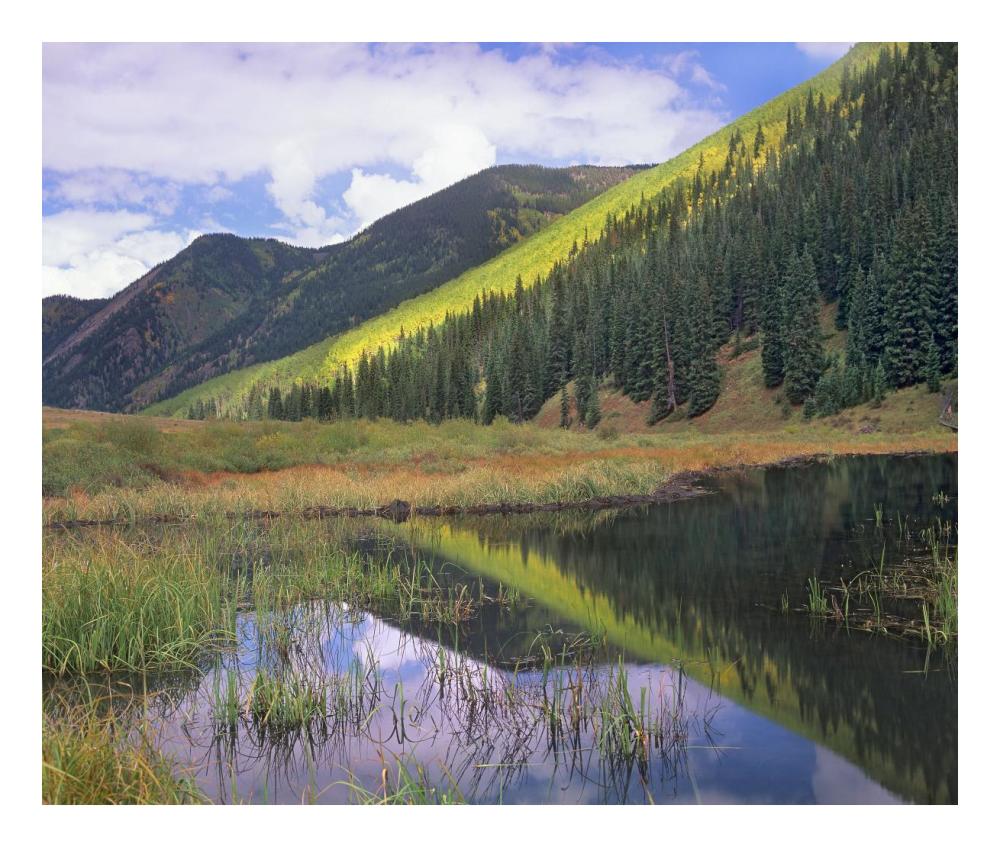 Pond And Mountains, Maroon Bells-Snowmass Wilderness Area, Colorado-Paper Art-24X20.26