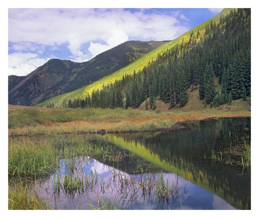 Pond And Mountains, Maroon Bells-Snowmass Wilderness Area, Colorado-Paper Art-32X26.9