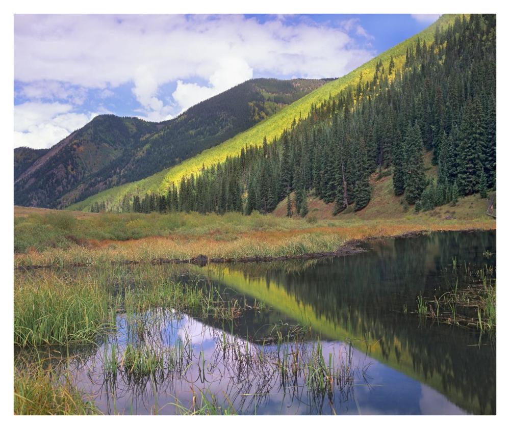 Pond And Mountains, Maroon Bells-Snowmass Wilderness Area, Colorado-Paper Art-38X31.88