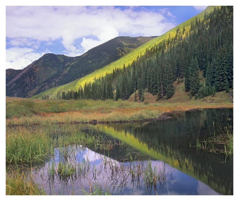 Pond And Mountains, Maroon Bells-Snowmass Wilderness Area, Colorado-Paper Art-42X35.2